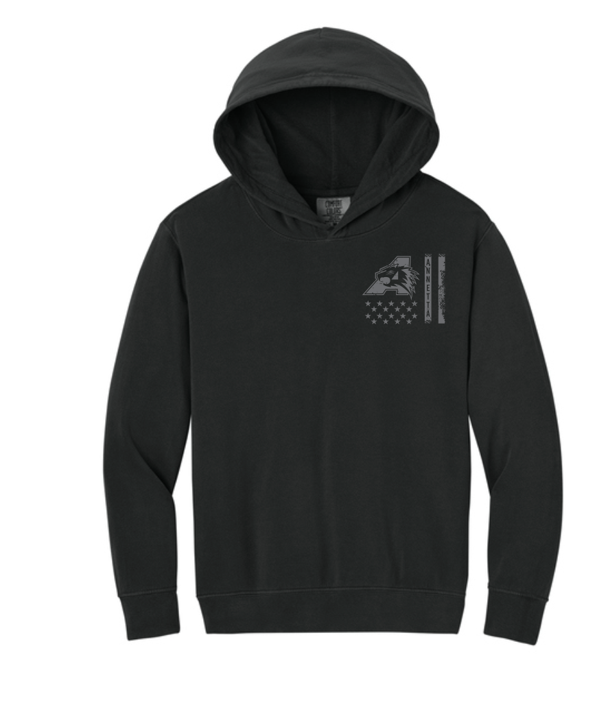 Annetta Bearcats Flag Comfort Colors Hoodie