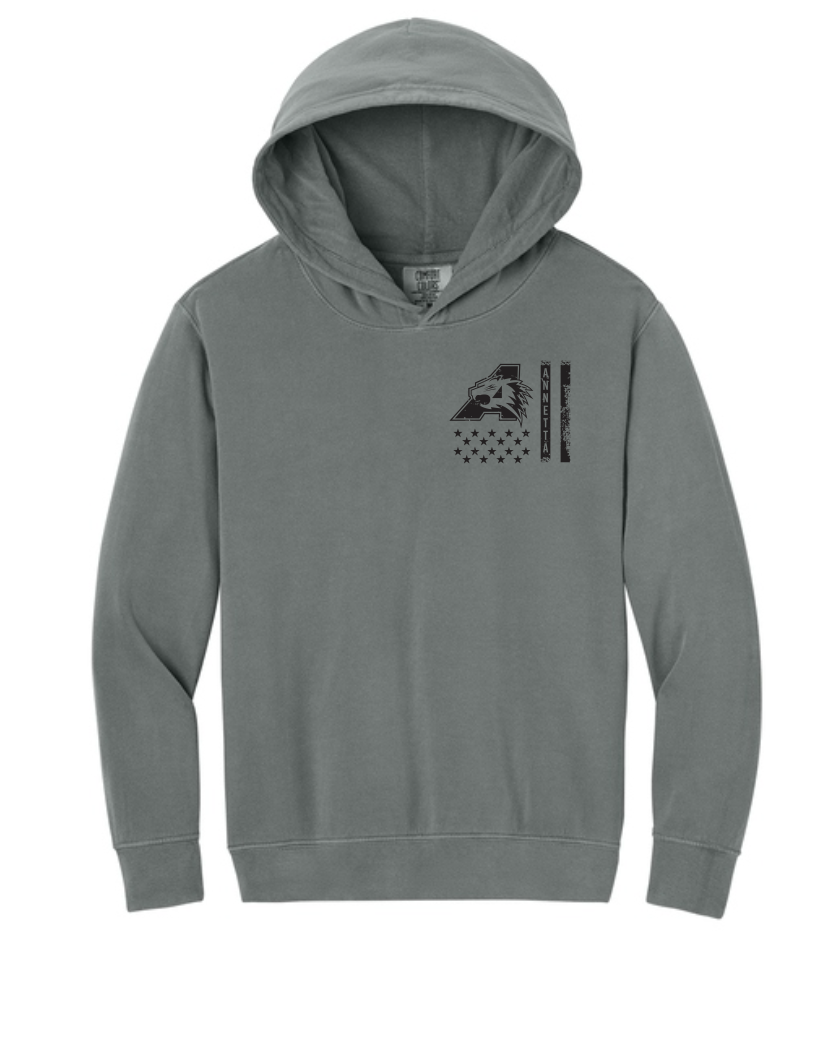 Annetta Bearcats Flag Comfort Colors Hoodie